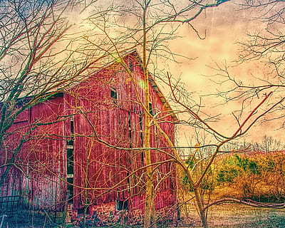 rosso, di legno, capannone, pittura, fienile, fienili, rustico, arte, arte digitale, artistico, strutturato, Ohio, rurale, nazione, scenario, azienda agricola, aziende agricole, agricoltura, contea di champagne, cadente, fienile fatiscente, abbandonato, fienile abbandonato, non usato, fienile inutilizzato, intemperie, fienile stagionato, dimenticato, fienile dimenticato, americana, struttura, strutture, Sturgell, William Sturgell, Bill Sturgell, foto, fotografia, storico, Home decor, nuvole, cielo, albero, alberi, erbacce, champagne, contea, urbana, pianta, struttura costruita, architettura, natura, autunno, ramo, albero nudo, esterno dell'edificio, nessuno, modificare, costruzione, giorno, bellezza nella natura, terra, all'aperto, la tranquillità, scenics - natura, 4K, CC0, dominio pubblico, privo di copyright