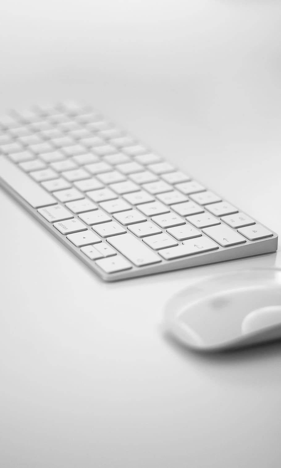 Apfel magische Maus, magische Tastatur, Weiß, Apple Magic Keyboard, Maus, Schlüssel, Technologie, Technik, Tastatur, Computer, Computer Tastatur, kabellose Technologie, Computerausrüstung, Kommunikation, Verbindung, Studioaufnahme, drinnen, selektiver Fokus, keine Leute, weißer Hintergrund, Nahansicht, Laptop, kopieren sie platz, Büro, Tabelle, Geschäft, einzelnes Objekt, Computerschlüssel, 4K