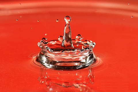 shot, water drop splash, red, background, Closeup, water drop, splash, various, abstract, drop, splashing, liquid, water, ripple, falling, wet, motion, close-up, freshness, macro, bubble, backgrounds, wave, nature, purity, rippled, spray, pouring, water Surface, flowing, transparent, high-speed photography, colored background, indoors, no people, studio shot, crown, reflection, royalty, splashing droplet, concentric, 1080P, CC0, public domain, royalty free