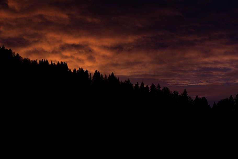 sagoma di alberi, tramonto, cielo, nuvole, crepuscolo, abendstimmung, ultimi bagliori, cielo serale, alberi, conifere, Treetops, natura, silhouette, Paesaggi, albero, all'aperto, nuvola - cielo, nessuno, paesaggio, bellezza nella natura, scenics - natura, scena tranquilla, la tranquillità, foresta, ambiente, montagna, pianta, cielo drammatico, idilliaco, scena non urbana, buio, bosco, Pino, bosco di pini, albero di conifere, 2K