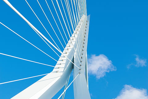 Erasmusbrug Rotterdam, wit, stalen brugframe, blauw, hemel, structuur, architectuur, vervoer, wolk - lucht, natuur, ingebouwde structuur, milieu, brug, wijze van transport, verbinding, witte kleur, zeilboot, brug - door de mens gemaakte structuur, het zeilen, nautisch schip, buitenshuis, reizen, geen mensen, technologie, jacht, wind, abstract, zeilsport, passagiersvaartuigen, 5K, CC0, publiek domein, royaltyvrij