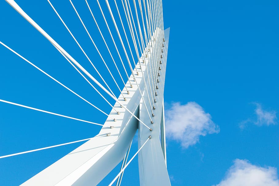erasmus bridge rotterdam, biały, rama mostu stalowego, niebieski, niebo, Struktura, architektura, transport, chmura - niebo, Natura, zbudowana struktura, środowisko, most, środek transportu, połączenie, biały kolor, żaglówka, most - struktura stworzona przez człowieka, Żeglarstwo, statek morski, na dworze, podróżować, żadnych ludzi, technologia, jacht, wiatr, abstrakcyjny, żeglarstwo, statek pasażerski, 5K
