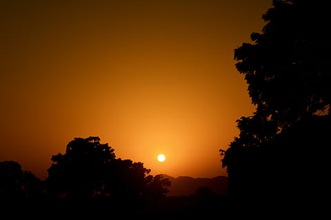Silhouette, Bäume, Rahmen, Sonne, Baum Silhouette, Sonnenuntergang, Orange, Baum, Sonnenaufgang, Dämmerung, Abend, Himmel, Schönen Tag, Landschaft, dunkler Wald, Mond, Szenen - Natur, Schönheit in der Natur, orange Farbe, Pflanze, ruhige Szene, Ruhe, Natur, keine Leute, idyllisch, draußen, Nicht-städtische Szene, Umgebung, Dramatischer Himmel, Sonnenlicht, Wachstum, romantischer Himmel, 5K, CC0, gemeinfrei, lizenzfrei