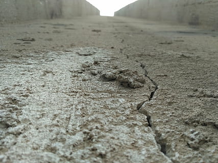 scheur, gebroken, hoogbouw, spleet, barst, muur, oppervlakte, geen mensen, dier, natuur, dierlijke thema's, selectieve aandacht, dag, één dier, dieren in het wild, dierenleven, land-, reptiel, detailopname, gewerveld, buitenshuis, getextureerde, oppervlakteniveau, landschap, milieu, rots, zand, droog klimaat, klimaat, 4K, CC0, publiek domein, royaltyvrij