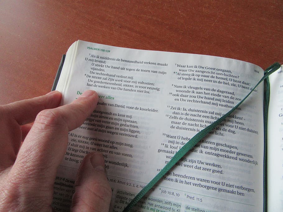 bíblia, llegir, llibre, obert, marcador, taula, mà, Antic testament, llegir cinta, designar, part del cos humà, mà humana, primer pla, paper, adult, una sola dona, text, celebració, una persona, part del cos, persona irreconeixible, guió occidental, perspectiva personal, estils de vida, publicació, dit, vista d’angle alt, a l'interior, dit humà, persones reals, estudiar, 5K