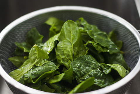 spanac, legume în interiorul sifonului, frunze, vegetal, sită, coş, mancare si bautura, mâncat sănătos, bunăstare, alimente, prospeţime, Culoarea verde, castron, a închide, parte a plantelor, în interior, stil de viata sanatos, nici o persoana, verde, studio shot, organic, selectiv, frunze de legume, antioxidant, mancare vegetariana, faianță, 2K, CC0, domeniu public, fără drepturi de autor