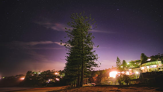 riga, alberi di pino, verde, albero, circondato, edifici, spiaggia, stella, cielo, cittadina, notte, pianta, illuminato, stella - spazio, natura, architettura, città, nessuno, spazio, scenics - natura, esterno dell'edificio, astronomia, bellezza nella natura, struttura costruita, all'aperto, la tranquillità, costruzione, strada, buio, chiaro di luna, via Lattea, 5K, CC0, dominio pubblico, privo di copyright