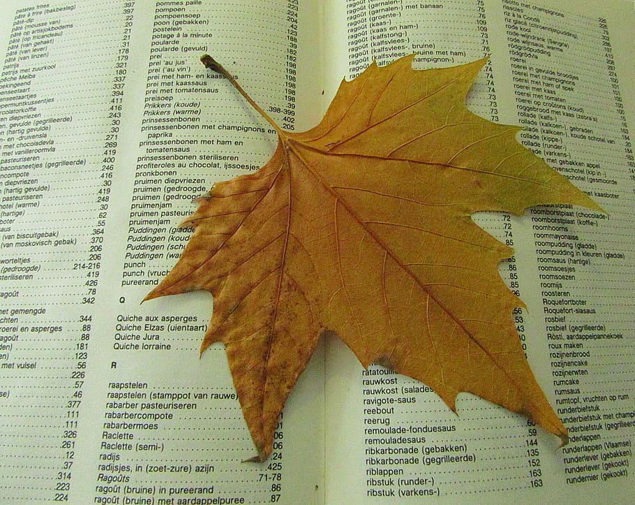 fulla de tardor, assecat, mort, llibre, tardor, guardar, temporada, venes, fulles de tardor, full, part de la planta, canvi, cap gent, primer pla, naturalesa, publicació, fulla d'auró, text, vena de la fulla, paper, natura morta, periòdic, guió occidental, vulnerabilitat, vista d’angle alt, dia, fragilitat, fulles, condició natural, 1080P