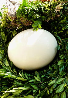 grüne Pflanzen, Karte, Osterei, Ostereier, Osterhase, osterkarte, osterkorb, Ostern, Osternest, Lebensmittel, grüne Farbe, Essen und Trinken, gesundes Essen, Wohlbefinden, Nahansicht, Pflanze, Wachstum, Ei, keine Leute, Frische, Natur, Blatt, Tag, Pflanzenteil, Feier, Urlaub, Stillleben, High Angle View, 2K, CC0, gemeinfrei, lizenzfrei