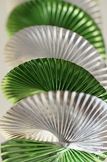 modello, struttura, ghirlanda, deco, decorazione, decorato, metallico, spirale, carnevale, compleanno, Festival, celebrazione, vicino, foglia, colore verde, parte vegetale, avvicinamento, pianta, nessuno, modello naturale, bellezza nella natura, crescita, natura, freschezza, giorno, messa a fuoco selettiva, vulnerabilità, Colore bianco, fragilità, Palma, fronda, fotogramma intero, le foglie, foglia di palma, fiore, 5K, CC0, dominio pubblico, privo di copyright