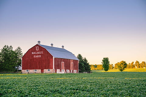 walnut farm, brown, walnut farm barn, grass, plain, farm, barn, field, gradient, red, architecture, landscape, plant, built structure, rural scene, sky, nature, building, copy space, building exterior, agricultural building, no people, house, land, clear sky, sunset, 2K, CC0, public domain, royalty free