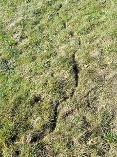 calea mouse-ului, luncă, urmă, departe, viteza mouse-ului, șoarece, calea animalelor, pista de animale, iarbă, natură, în aer liber, fundaluri, plantă, creştere, teren, Culoarea verde, zi, camp, nici o persoana, vedere în unghi mare, liniște, frumusețe în natură, lumina soarelui, scenă non-urbană, cadru complet, o scenă liniștită, copac, peisaj, mediu inconjurator, traseu, 4K, CC0, domeniu public, fără drepturi de autor