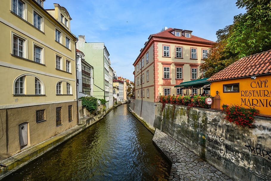 praga, txec, cafeteria, riu, canal, Praha, ciutat, exterior de l'edifici, arquitectura, casa, aigua, estructura construïda, edifici, barri residencial, naturalesa, cel, cap gent, dia, davant del mar, planta, arbre, a l'aire lliure, finestra, 4K