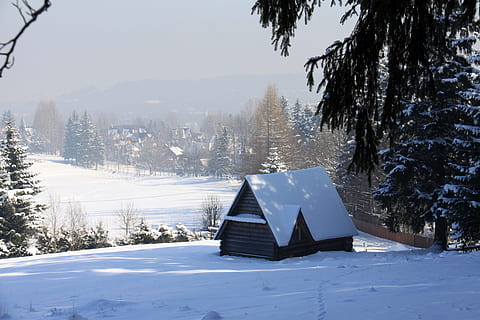 Schnee, Winter, kalt, Baum, begraben, Landschaft, kalte Temperatur, Pflanze, Natur, Abdeckung, Gebäudehülle, Szenen - Natur, Land, Schönheit in der Natur, Tag, gebaute Struktur, die Architektur, weiße Farbe, Feld, Ruhe, gefroren, keine Leute, draußen, extremes Wetter, Kiefer, schneebedeckter Berg, Nadelbaum, Pulverschnee, 4K, CC0, gemeinfrei, lizenzfrei
