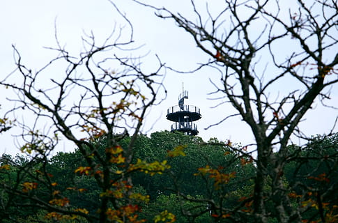 Torre de observación, Puesto de observación, panorama, distante, otoño, parque, bosque, planta, árbol, crecimiento, cielo, nadie, naturaleza, rama, vista de ángulo bajo, centrarse en primer plano, arquitectura, estructura construida, día, al aire libre, belleza en la naturaleza, color verde, hoja, parte de la planta, exterior del edificio, enfoque selectivo, flor, cambio, 1080P, CC0, dominio público, libre de derechos