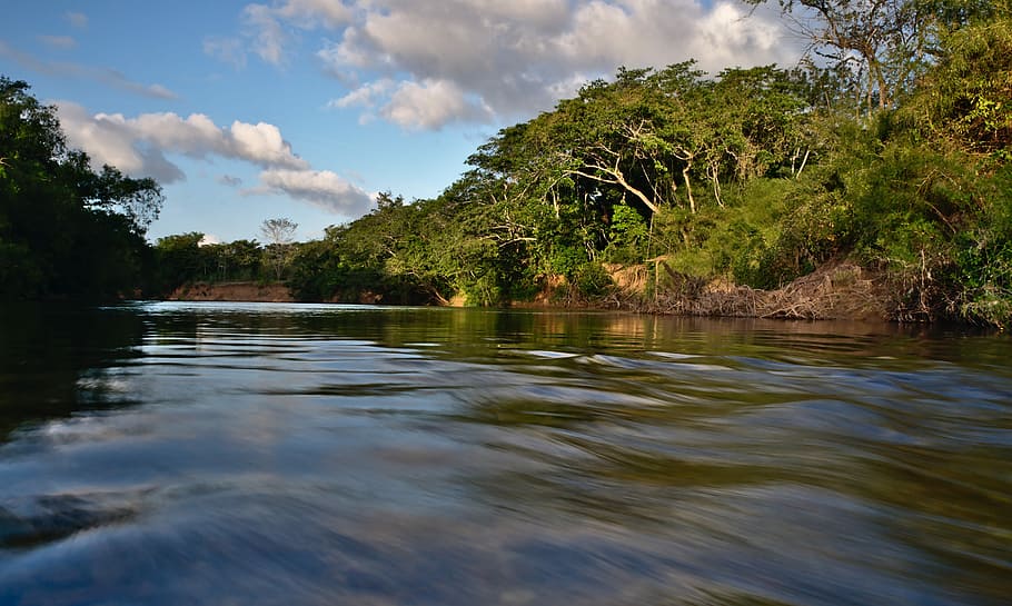 rapido, acqua, flusso, ruscello, forte, pericoloso, fiume, movimento, alberi, belize, belvedere spagnolo, cielo, all'aperto, paesaggio, natura, albero, nuvola - cielo, pianta, bellezza nella natura, scenics - natura, riflessione, la tranquillità, terra, scena tranquilla, foresta, nessuno, clima tropicale, scena non urbana, giorno, lago, albero tropicale, foresta pluviale, laguna, palma da cocco, 5K