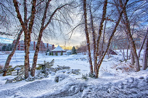 la neve, coperto, terra, alberi, giorno, rami, edifici, freddo, luce del giorno, sibilo, brina, gelido, tempo gelido, congelato, ghiaccio, paesaggio, natura, all'aperto, parco, scena, scenario, panoramico, stagione, nevoso, tempo metereologico, bianca, inverno, paesaggio invernale, legna, temperatura fredda, albero, albero nudo, copertura, pianta, architettura, nessuno, Colore bianco, esterno dell'edificio, la tranquillità, struttura costruita, scenics - natura, bellezza nella natura, montagna innevata, 5K, CC0, dominio pubblico, privo di copyright