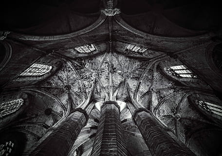 fotografia en escala de grisos, temple, escala de grisos, foto, arquitectura, Església, catedral, estil gòtic, lloc famós, religió, arquitectura i edificis, a l'interior, espiritualitat, cap gent, primer pla, dia, a l'aire lliure, cel, vista d’angle baix, estructura construïda, història, el passat, destinacions de viatge, lloc de culte, creença, art i artesania, viatjar, turisme, sostre, directament a sota, columna arquitectònica, ornamentat, talla, 4K, CC0, domini públic, lliure de regalies