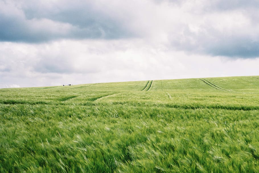 wolkig, Himmel, Feld, Grün, Rasenplatz, Gras, Wolke, Bauernhof, Spuren, Pflanzen, Hügel, Sommer-, neolithisch, avebury, England, Diafilm, Filmfoto, Film, Landschaft, Land, Umgebung, Landwirtschaft, ländliche Szene, grüne Farbe, wolke - himmel, Pflanze, Szenen - Natur, Getreidepflanze, ruhige Szene, Ernte, Horizont über Land, Natur, Schönheit in der Natur, Horizont, Ruhe, Wachstum, keine Leute, draußen, hügelige Landschaft, 2K