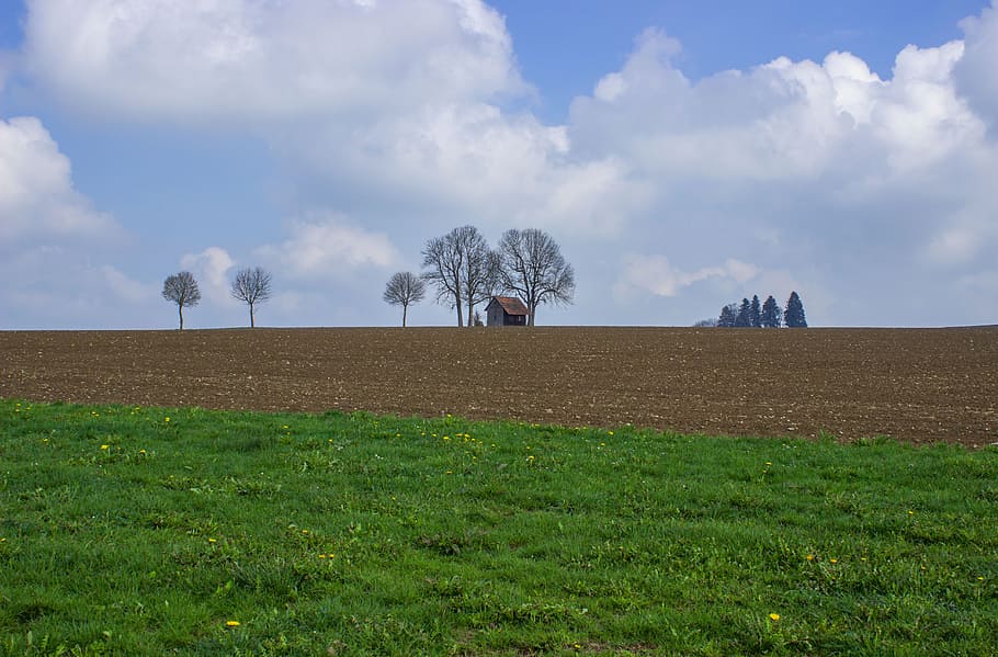 paesaggio, prato, nuvole, cielo, visione, verde, panorama, vista distante, pianta, terra, campo, nuvola - cielo, ambiente, erba, scena tranquilla, bellezza nella natura, albero, scenics - natura, la tranquillità, natura, agricoltura, giorno, scena rurale, crescita, nessuno, scena non urbana, all'aperto, 5K
