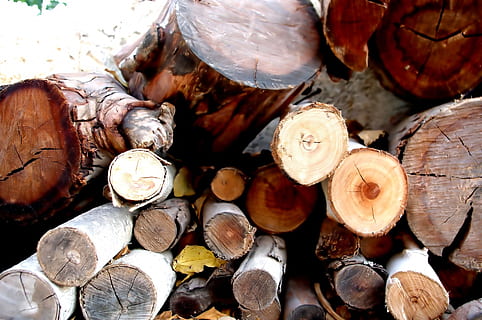 træ, stak, baggrund, vinter, ild, forberede, sne, uden for, kold, web, design, kort, invitation, arne, brændstof, flammer, Tændstikker, træ - materiale, log, tømmer, Brænde, stor gruppe af objekter, ingen mennesker, tæt på, brændstof og elproduktion, natur, fossilt brændstof, skovrydning, tømmerindustrien, overflod, fuld ramme, Skov, miljøspørgsmål, dag, udendørs, 1080P, CC0, offentligt domæne, royaltyfrie