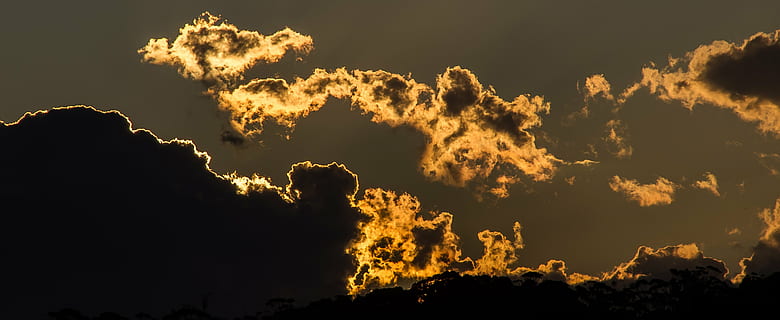 langit, awan, matahari terbenam, sinar matahari, keemasan, australia, alam, latar belakang, malam, awan - langit, tidak ada orang, keindahan di alam, di luar rumah, diterangi, lingkungan Hidup, fenomena cahaya - alami, ketenangan, scenics - alam, api - fenomena alam, bayangan hitam, gelap, backlit, pembakaran, pohon, 4K, CC0, domain publik, bebas royalti