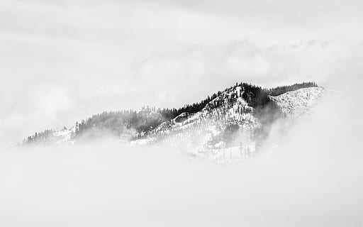 mgła, pokryty, śnieg, Góra, fotografia w skali szarości, zamglenie, Chmura, krajobraz, Natura, drzewo, monochromia, minimalizm, minimalny, czarny i biały, grzbiet, szczyt, zamiłowanie do włóczęgi, przygoda, pnw, Pacific Northwest, Waszyngton, pochmurny, dzień, chmura - niebo, niebo, zimna temperatura, środowisko, wylądować, zimowy, żadnych ludzi, scenics - natura, na dworze, ruch, piękno natury, dym - struktura fizyczna, 5K, CC0, domena publiczna, darmowe zdjęcia