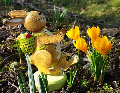 påske, Påske hare, forår, hare, blomster, ferie, krokus, gul, vækst, plante, natur, jord, Mark, blomst, tæt på, repræsentation, ingen mennesker, blomstrende plante, skønhed i naturen, dyr repræsentation, dag, legetøj, champignon, friskhed, svamp, fokus på forgrunden, udendørs, blomsterhoved, paddehat, 2K, CC0, offentligt domæne, royaltyfrie