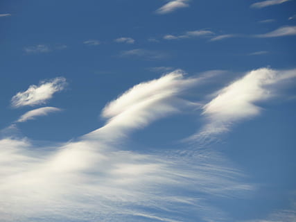 branco, nuvens cumulus, Claro, azul, céu, dia, nuvens, nuvem, contrail, ensolarado, lindo, caloroso, cirro, federwolke, natureza, clima, origens, ar, ao ar livre, nuvem - céu, verão, cloudscape, beleza na natureza, visão de baixo ângulo, tranquilidade, scenics - natureza, ninguém, cena tranquila, idílico, cor branca, meio Ambiente, quadro completo, luz solar, suavidade, meteorologia, fraco, 4K, CC0, domínio público, royalty free