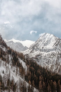 Berg, bedeckt, Schnee, tagsüber, Wintersaison, Wolke, Wald, Baum, wolkig, kalte Temperatur, Winter, Szenen - Natur, Schönheit in der Natur, wolke - himmel, ruhige Szene, Ruhe, Himmel, Umgebung, Pflanze, schneebedeckter Berg, Natur, Landschaft, Gebirge, Nicht-städtische Szene, Tag, keine Leute, draußen, Kiefer, Nadelbaum, Gipfel, Kiefernwald, 5K, CC0, gemeinfrei, lizenzfrei