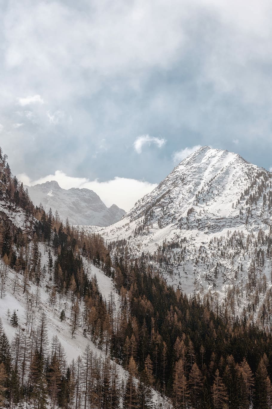 Berg, bedeckt, Schnee, tagsüber, Wintersaison, Wolke, Wald, Baum, wolkig, kalte Temperatur, Winter, Szenen - Natur, Schönheit in der Natur, wolke - himmel, ruhige Szene, Ruhe, Himmel, Umgebung, Pflanze, schneebedeckter Berg, Natur, Landschaft, Gebirge, Nicht-städtische Szene, Tag, keine Leute, draußen, Kiefer, Nadelbaum, Gipfel, Kiefernwald, 5K