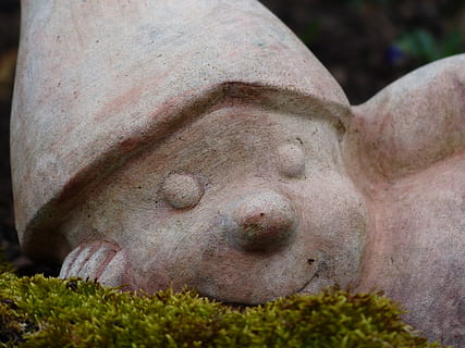 Zwerg, sich ausruhen, schlafen, frech, Sorgen, Lachen, Gesicht, Keramik, Zahl, Keramikfiguren, Statue, keine Leute, Skulptur, draußen, Tag, Nahansicht, Darstellung, Kunst und Handwerk, menschliche Darstellung, Kreativität, Pflanze, Kunst, männliche Ähnlichkeit, Natur, Fokus auf den Vordergrund, Stein, selektiver Fokus, weibliche Ähnlichkeit, Säugetier, 4K, CC0, gemeinfrei, lizenzfrei