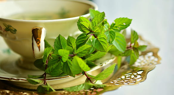 verde, le foglie, bianca, piatto, menta piperita, tè alla menta piperita, menta, tee, Erbe medicinali, erbe aromatiche, pianta erbacea, erba da cucina, salutare, pianta medicinale, bere, menta verde, salute, guarigione, natura, aroma, gusto, tazza, vasellame, copertina, bordo d'oro, foglia, parte vegetale, cibo e bevande, cibo, colore verde, erba, tazza di tè, tè - bevanda calda, tè, avvicinamento, in casa, bevanda calda, medicina alternativa, benessere, pianta, boccale, foglia di menta - culinaria, medicina, mangiare sano, nessuno, 5K, CC0, dominio pubblico, privo di copyright