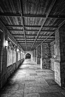 perspectiva, corredor, techo, interior, arquitectura, pasillo, edificio, en blanco y negro, antiguo, adentro, estructura construida, el camino a seguir, dirección, nadie, columna arquitectonica, vacío, perspectiva decreciente, día, arcada, ausencia, piso, arco, el pasado, columnata, Luz al final del túnel, 5K, CC0, dominio público, libre de derechos