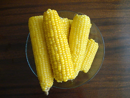 sweet corn, crops, food, vegetable, food and drink, corn, wellbeing, healthy eating, yellow, table, sweetcorn, freshness, corn on the cob, indoors, still life, high angle view, directly above, no people, close-up, wood - material, raw food, vegetarian food, 1080P, CC0, public domain, royalty free