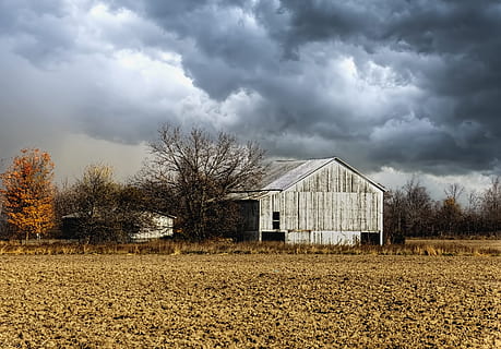 burza, burzowe chmury, stodoła, rustykalny, stodoły, ohio, Sztuka cyfrowa, wiejski, sceniczny, kraj, Wieś, sceneria, budka, szopy, gospodarstwo rolne, farmy, rolnictwo, rolniczy, dom wiejski, szampan, Hrabstwo, americana, zdjęcie, sfotografować, Struktura, Struktury, sturgell, William Sturgell, Bill Sturgell, historyczny, wystrój domu, Budynki, chmury, niebo, drzewo, drzewa, pochmurny, chwasty, hrabstwo champaign, urbana, chmura - niebo, architektura, zbudowana struktura, na zewnątrz budynku, wylądować, roślina, krajobraz, pole, scena wiejska, budynek rolniczy, żadnych ludzi, Natura, budynek, dom, na dworze, kabina, 4K, CC0, domena publiczna, darmowe zdjęcia