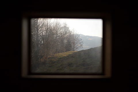 withered, trees, beside, grass field, window, view, forest, glass, square, look, tree, switzerland, toggenburg, glass - material, no people, transparent, nature, plant, indoors, fog, day, sky, land, tranquility, bare tree, winter, beauty in nature, rectangle, dark, 5K, CC0, public domain, royalty free