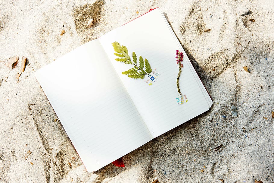 Weiß, Grün, rot, Papier-, Strand, Küste, Kunst, Tagebuch, Blume, Hobby, Ferien, Blätter, Freizeit, Lebensstil, Erinnerungen, Momente, Natur, Notizbuch, Erholung, Entspannung, Sand, Aufkleber, Sommer-, Rückfall, Reise, Ausflug, Urlaub, Fernweh, beschädigt, keine Leute, Nahansicht, Industrie, Studioaufnahme, Tag, draußen, High Angle View, Stillleben, Kreativität, weiße Farbe, Land, Tabelle, Pflanze, Veröffentlichung, Seite, direkt darüber, Buch, Beton, leer, 5K