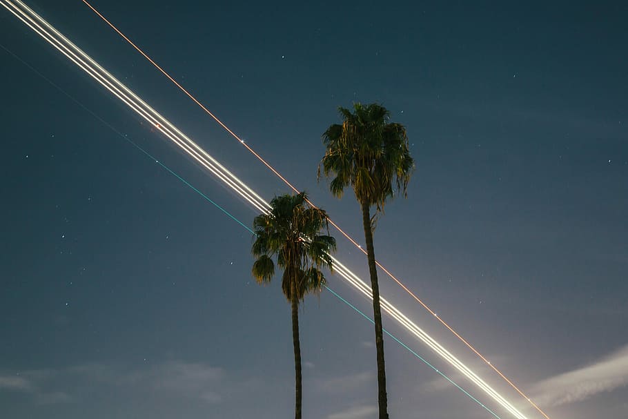 dva zelené stromy, časosběrné fotografie, hvězd, světlý pruh, dlaň, nebe, večer, hvězda, rovinné světlo, letiště los angeles, laxní, los angele, letoun, palma, astronomie, pomalá závěrka, světlo stezka, natue, strom, noc, rostlina, tropické klima, nízký úhel pohledu, hvězda - prostor, nikdo, Příroda, krása v přírodě, růst, prostor, scenics - příroda, svítí, dlouhé expozice, venku, měsíc, klid, elektřina, kokosová palma, 5K