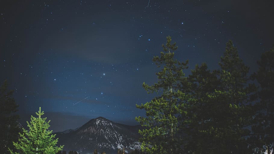 fotografia de paisagem, arvores, verde, folheado, fotografia noturna, noite estrelada, montanha, árvore, Estrela, noite, céu, estrela - espaço, natureza, astronomia, via Láctea, Sombrio, panorama, galáxia, constelação, scenics, floresta, azul, ao ar livre, espaço, ninguém, lua, beleza na natureza, plantar, scenics - natureza, campo de estrelas, tranquilidade, cena tranquila, crescimento, visão de baixo ângulo, cena não urbana, espaço e astronomia, nevando, 4K