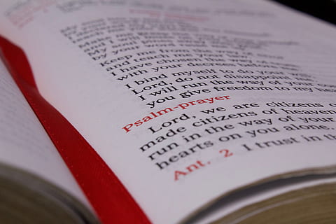 bøn, skriften, bibel, Breviaret, vers, tekst, tæt på, ingen mennesker, vestlige script, selektiv fokusering, meddelelse, rød, papir, forretning, nummer, finansiere, indendørs, uddannelse, Kvittering, liste, Bestil, offentliggørelse, detail, erhvervsfinansiering og industri, 5K, CC0, offentligt domæne, royaltyfrie