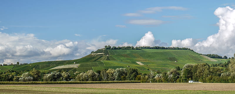 vinya, camps, vi, cel, finals d’estiu, Neckarsulm, baden württemberg, Alemanya, panorama, muntanya tímida, paisatge, medi ambient, núvol - cel, terra, herba, planta, escenics - natura, naturalesa, bellesa a la natura, camp, cap gent, escena rural, dia, destinacions de viatge, turó, color verd, escena no urbana, arbre, volcà, a l'aire lliure, 4K, CC0, domini públic, lliure de regalies