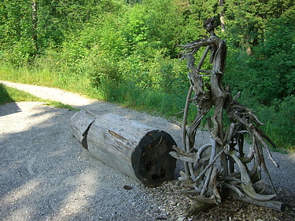 trerot, knudrete, rot, figur, vielfuessler, monster, heksen, borte, grønn, sti, Steinig, illussion, Logg, tre, anlegg, natur, land, dag, ingen folk, grønn farge, vekst, skog, sollys, transport, utendørs, ro, skjønnhet i naturen, gammel, gress, tre - materiale, hjul, stamme, ikke-urbane scene, 1080P, CC0, offentlig domene, opphavsrett gratis