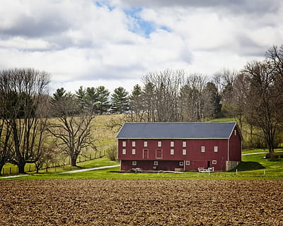 Scheune, rustikal, Scheunen, Ohio, digitale Kunst, ländlich, szenisch, Land, Landschaft, Schuppen, wirft, Bauernhof, Bauernhöfe, Landwirtschaft, landwirtschaftlich, Bauernhaus, champaign, Bezirk, Americana, Foto, fotografieren, Struktur, Strukturen, sturgell, William Sturgell, bill sturgell, historisch, Wohnkultur, corral, Gebäude, Silo, Wolken, Himmel, Baum, Bäume, wolkig, Unkraut, Champaign County, Urbana, Pflanze, wolke - himmel, Natur, Tag, Feld, keine Leute, kahler Baum, Umgebung, Gras, die Architektur, draußen, Transport, Transportmittel, Szenen - Natur, gebaute Struktur, Ruhe, 2K, CC0, gemeinfrei, lizenzfrei