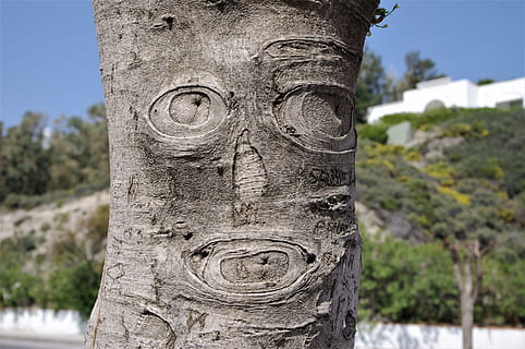 arbre, cara, escorça, tallada, divertit, cara d’arbre, fusta, esperit forestal, esperit d’arbre, tribu, registre, somriu, amable, centrar-se en primer pla, talla - producte artesanal, material de pedra, dia, a l'aire lliure, artesania, planta, art i artesania, primer pla, naturalesa, cap gent, creativitat, tronc de l'arbre, història, tronc, el passat, vell, representació, escultura, 4K, CC0, domini públic, lliure de regalies