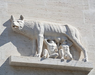 romulus, remus, socha, vlk, sochařství, římský, starověké, mytologie, Vlčice, historický, mezník, bratři, Itálie, Dějiny, nikdo, mramor, savec, zvíře, zvířat, den, slunečního světla, architektura, obratlovců, Kočkovitý, Příroda, skupina zvířat, umění a řemesla, kočka, relaxace, zvířata ve volné přírodě, pevný, zastoupení, 4K, CC0, veřejná doména, bez autorských práv