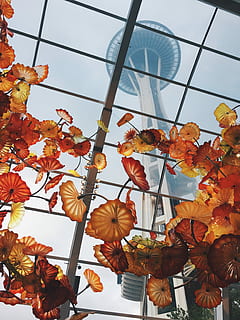 vidre chihuly, vista sobre el jardí, groc, vermell, flors, clar, sostre de vidre, full, planta, marró, finestra, vidre, vista d’angle baix, naturalesa, cel, cap gent, dia, flor, planta amb flors, color taronja, estructura construïda, arquitectura, frescor, tardor, exterior de l'edifici, primer pla, vulnerabilitat, fragilitat, creixement, equips d’il·luminació, a l'aire lliure, canvi, sostre, 2K, CC0, domini públic, lliure de regalies