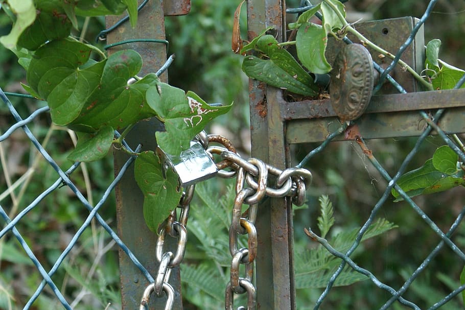 pilis, vartai, romantiškas, pilis, vartai, apsauga, dieną, žalia spalva, nėra žmonių, lauke, lapai, augalų dalis, gyvūnų gyvūnija, metalo, gyvūnams, tvora, saugumą, stuburiniai, augalų, gyvūnų temos, gyvūnas, riba, barjeras, pobūdį, sutelkti dėmesį į naujas žinias, medis, 1080P