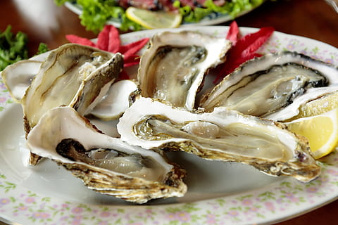 Ostriche, il giro, bianca, rosa, floreale, ceramica, piatto, cucina, conchiglia, ostrica, cibo, cibo e bevande, freschezza, mangiare sano, benessere, avvicinamento, frutti di mare, pronto a mangiare, in casa, verdura, nessuno, animale, fetta, pesce, concentrarsi sulle conoscenze acquisite, porzioni, vista dall'alto, cibo francese, salsa saporita, vasellame, 4K, CC0, dominio pubblico, privo di copyright
