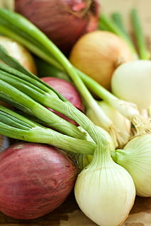 onion, vegetable, spring, food and drink, food, freshness, healthy eating, wellbeing, green color, close-up, no people, still life, spring onion, raw food, indoors, root vegetable, high angle view, organic, table, for sale, day, 5K, CC0, public domain, royalty free